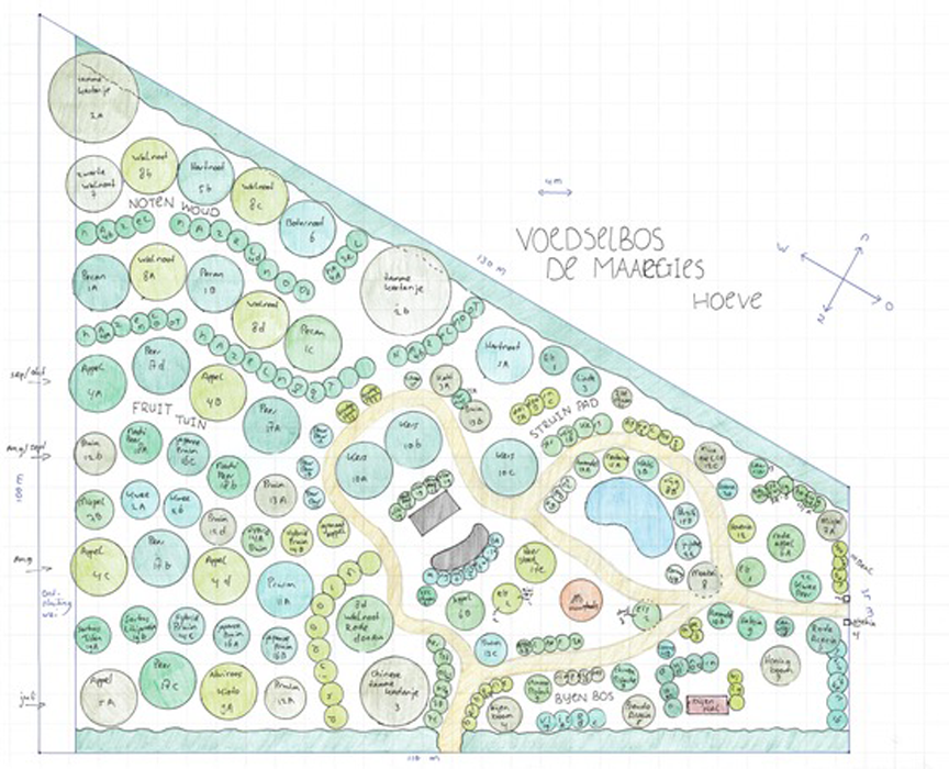 De-voedselboss-voedselbos-eten-wat-de-natuur-je-geeft-ontwerp